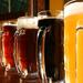 Gramado Beer Tour: Edelbrau, Rasen and Farol Breweries