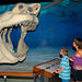 Fossil and Shark Teeth Hunt Adventure Package with Lunch and Dinner