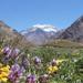 4-Day Trip in Mendoza and The Andes