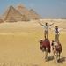 Half-Day Tour of the Giza Pyramids and Sphinx with Private Guide from Cairo