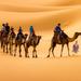 Private 3-Day Sahara Desert Tour to Merzouga from Marrakech 