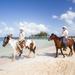 Roatan Combo Tour: Jungle Horseback Riding and Beach Break