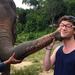 Half-Day Visit Without Riding to Elephant Retirement Park in Chiang Mai