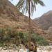 Private or Group Full Day Wadi Shab and the East Coast From Muscat