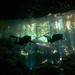 Cenotes and Caverns 2-Tank Dive Tour 