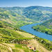 Semi-Private Tour: Wine Region in Douro Valley