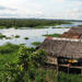 3-Day Amazon Jungle Adventure from Iquitos