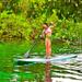 Private Tour: Stand Up Paddleboarding and Snorkeling in Tulum