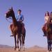 Horse Riding in Dahab