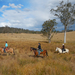 2-Hour Horse Ride in Howes Valley
