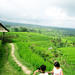 Private Tour: Bali Western Highlights
