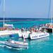 Catamaran Party Cruise and Dunn's River Falls Tour from Montego Bay and Grand Palladium