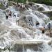 Dunn's River Falls and Luminous Lagoon Tour from Montego Bay and Grand Palladium