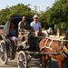 Aswan City Tour by Horse Carriage