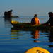 Sea Kayak Half Day Trip near Olympic National Park