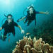 Cozumel Dive and Drive Tour with Ferry Ride from Playa del Carmen