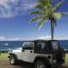 Jeep Tour in Cozumel: Punta Sur and Beach Break with Ferry Ride from Playa del Carmen