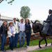 Mules and Sculpture Tour