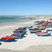 Cape West Coast Private Day Tour