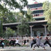 14-Day Shaolin Kung Fu Training Camp from Zhengzhou