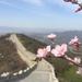 Private Hiking Day Tour: Yanqing Badaling Incomplete Great Wall