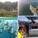 Snorkel and Sightseeing Tour on the Na Pali Explorer