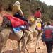 Private High Atlas Mountains Day Trip from Marrakech with Camel Ride