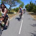 1 Day Charming Rides Through The Wonders Of Camargue 