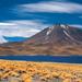 Atacama Salt Flats, Toconao and Altiplanic Lagoons Day Trip 