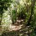 Samara Trails Including Werner Sauter Biological Reserve