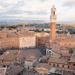 Siena and San Gimignano 1 Day Trip from Rome - Semi Private Tour