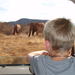 Private Small-Group Full-Day Safari: Tsavo East National Park from Mombasa