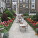 Secret Gardens Tour of London with Afternoon Tea