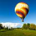 Balloon Tour Experience with Winery Visit