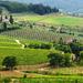 Private Tour: Chianti Region Round Trip Experience from Florence