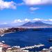 Private Tour: Naples Half Day Experience