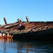Dolphin Sanctuary and Ships Graveyard Kayaking Adventure from Adelaide