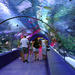Antalya city tour with Duden Waterfall and Antalya Aquarium visit