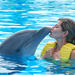 Dolphinarium Visit From Side