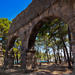 Private Trip to Phaselis, Olympos and Eternal Flames of Chimera