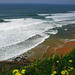8 Days and 7 Nights at Surf Family in Ericeira from Lisbon