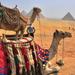 17-Night Jordan and Egypt Highlights including Hurghada Red Sea