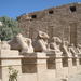 7-Night Luxor and Red Sea Resort Private Tour from Cairo