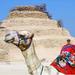 Great Pyramids, Saqqara and Memphis Private Day Tour