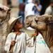 Private Guided Day Trip to Giza Pyramids and Saqqara including 1-Hour Sunrise Camel or Horse Ride and Egyptian Breakfast