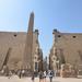 Private Guided Day Trip to Luxor from Cairo by Plane