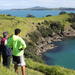 Maori Walking Tour with Wine Tasting on Waiheke Island