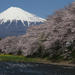 7-Day Private Custom Tour of Tokyo, Mt Fuji, Kyoto and Osaka by Chartered Vehicle