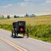 Amish Country Tour in Lancaster County 