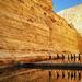Private Tour: Highlights of the Negev from Tel-Aviv